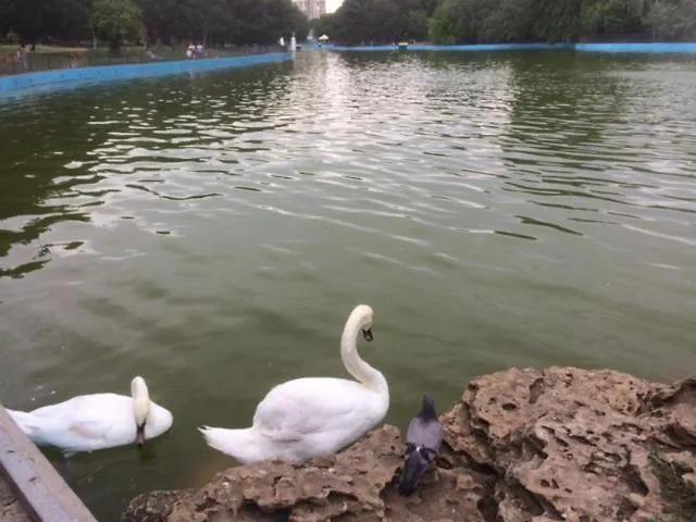 с фантастическим видом на море *