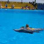 Appartement с фантастическим видом на море *